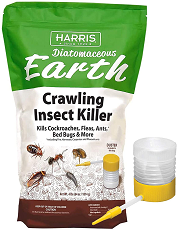 Diatomaceous Earth