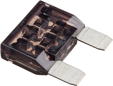 25amp fuse